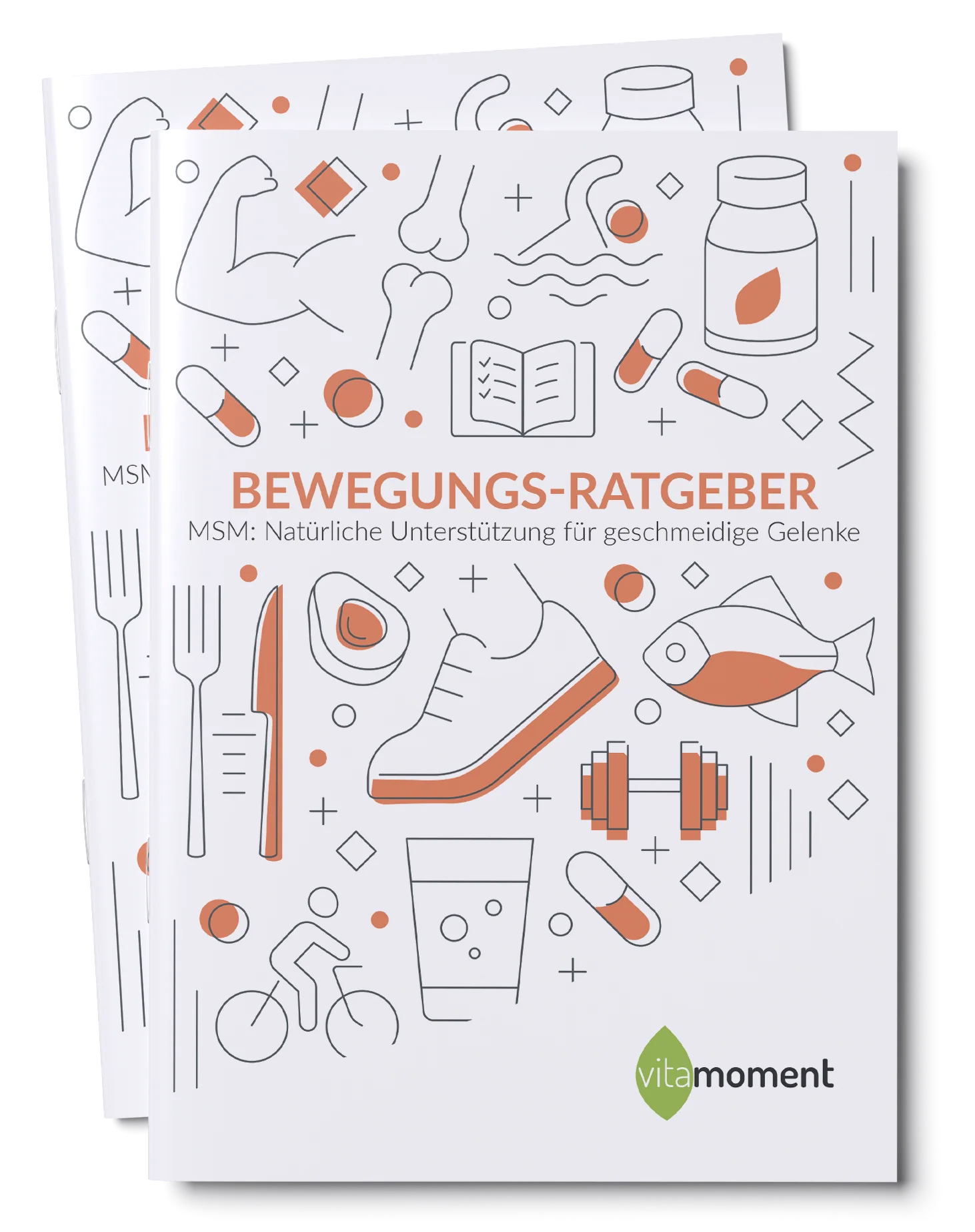 Bewegungs-Ratgeber (MSM)