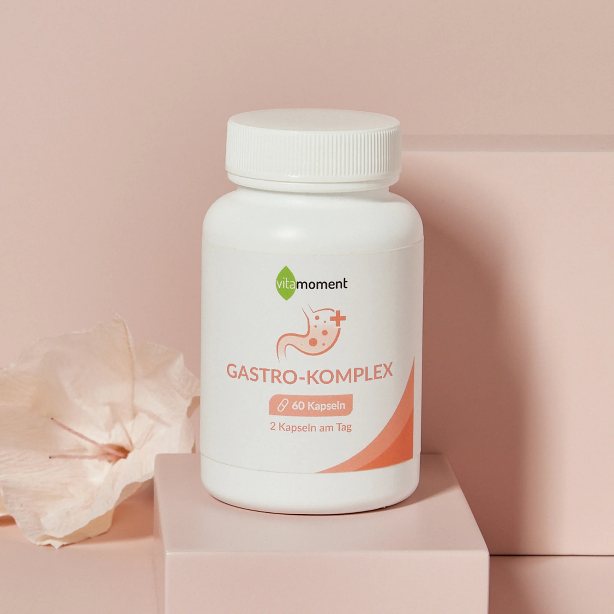 Gastro-Komplex - Image 2