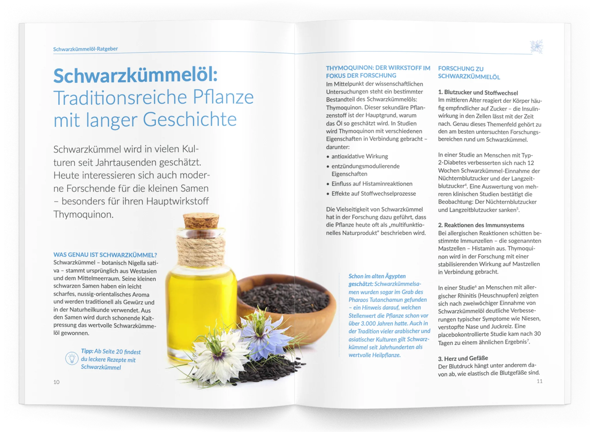 Schwarzkümmelöl-Ratgeber - Image 3