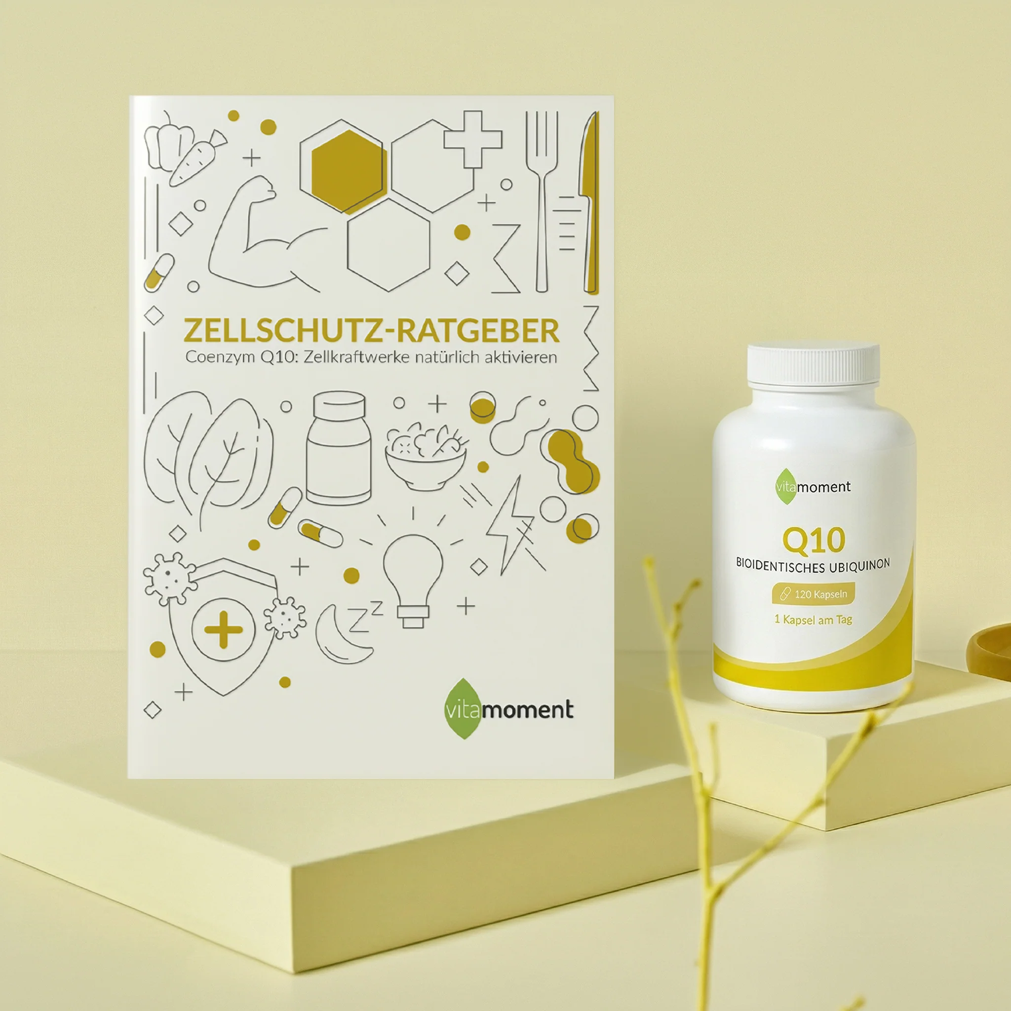 Zellschutz-Ratgeber - Image 20